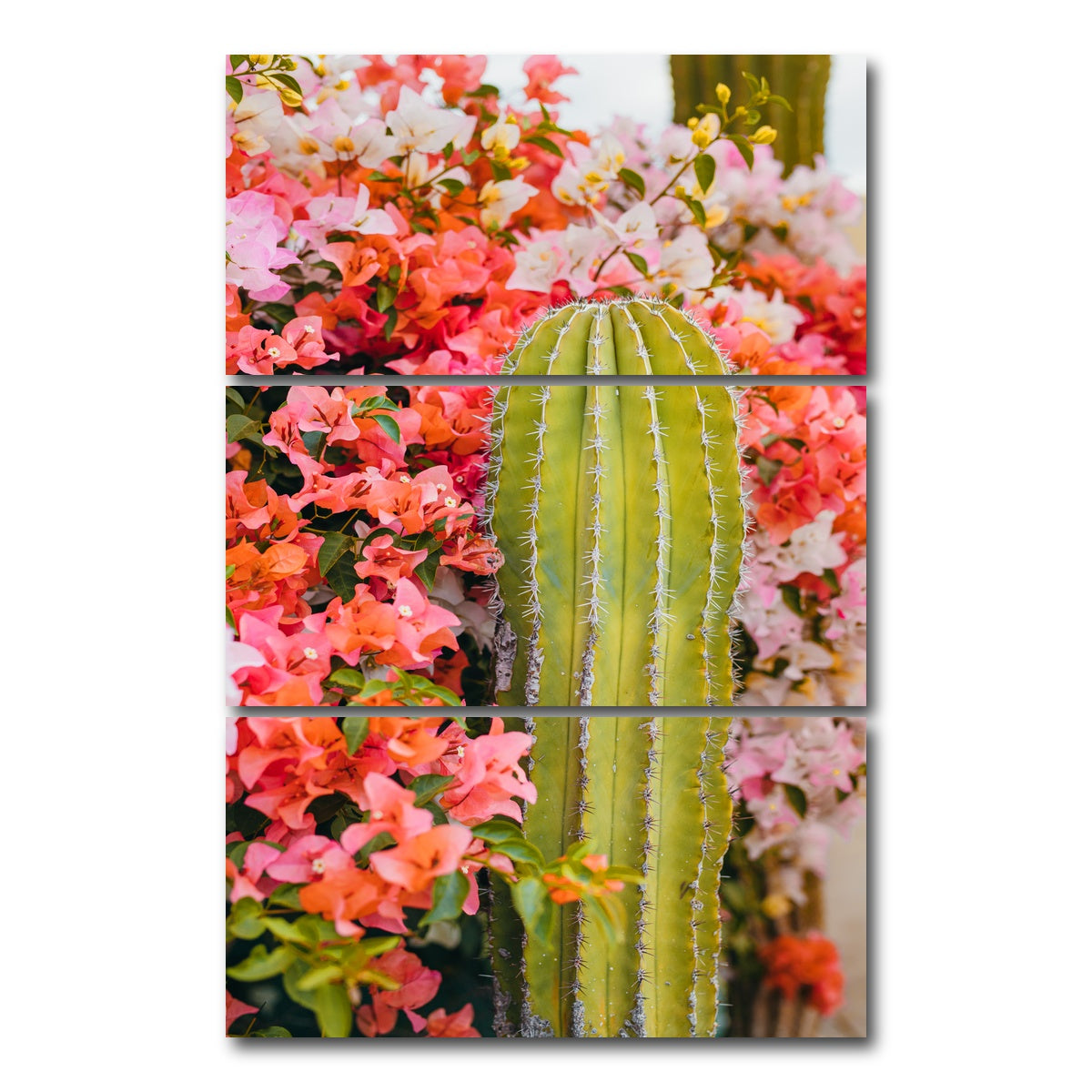 AUTO-MOCKUP WHITE | Cactus & Flowers | 3 Piece | Gallery Wrap Canvas | group=12x24_stacked