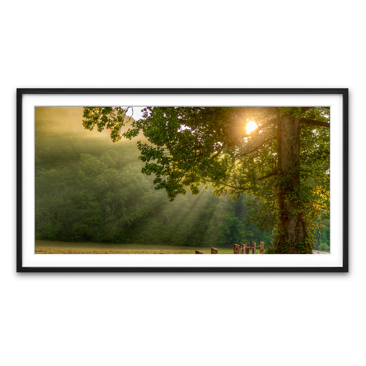 Framed Print 2x1 Black