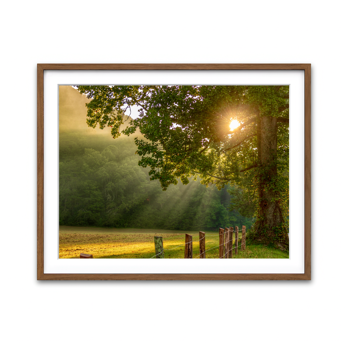 Framed Print 4x3 Walnut