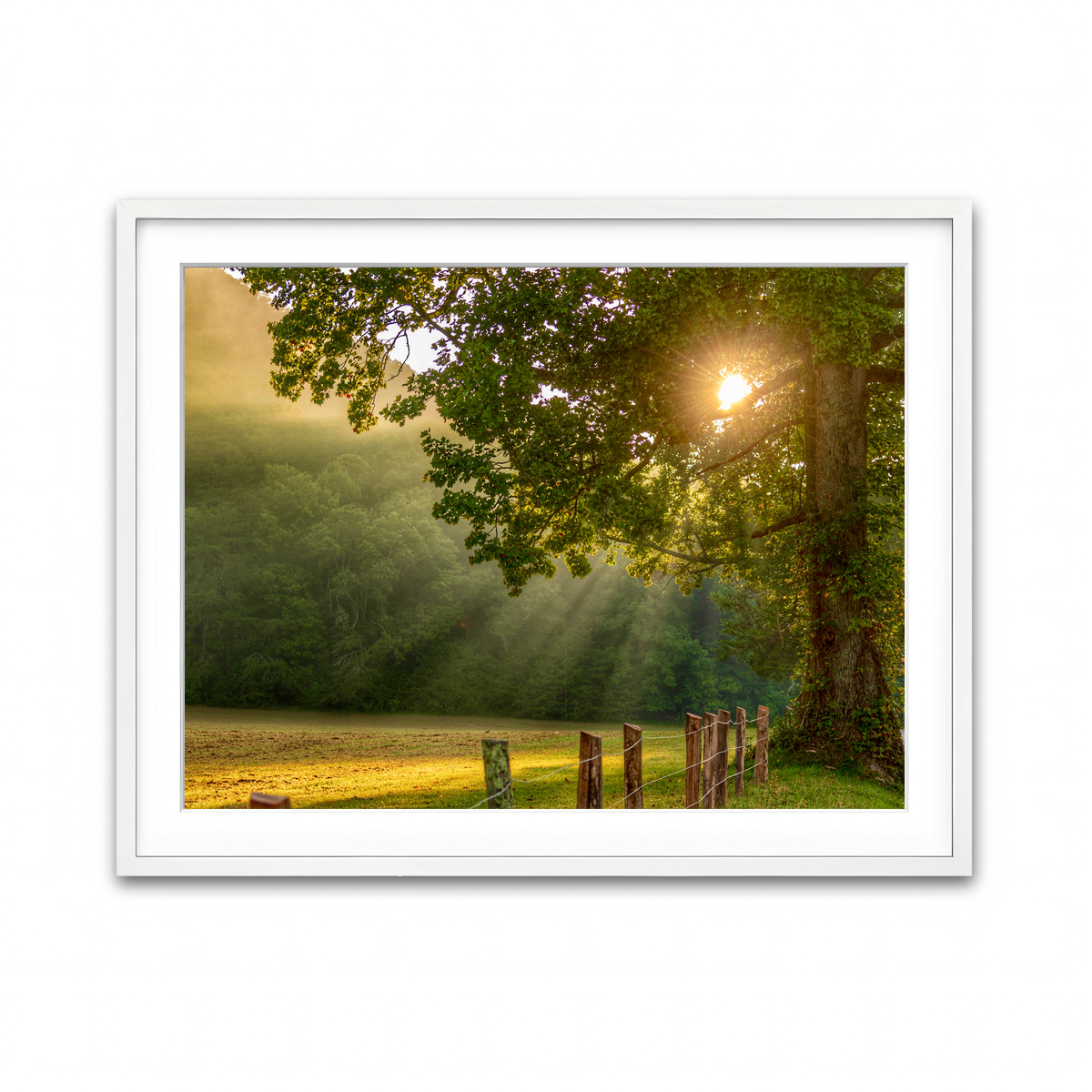 Framed Print 4x3 White