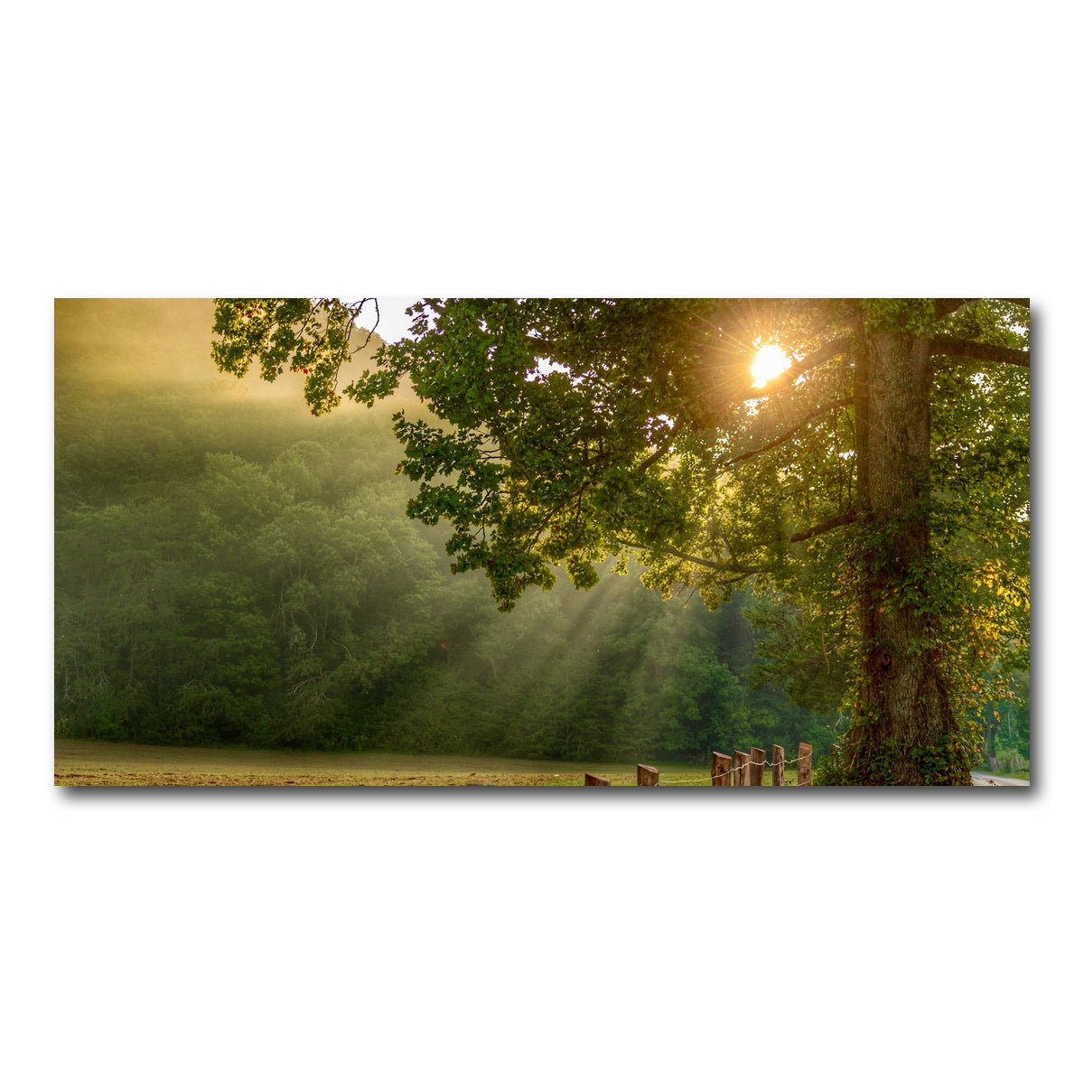 AUTO-MOCKUP WHITE | Cades Cove | 1 Piece | Gallery Wrap Canvas | group=2x1
