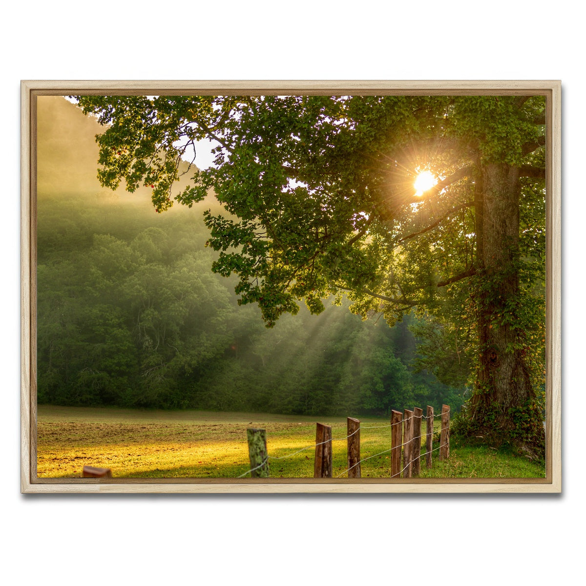 AUTO-MOCKUP WHITE | Cades Cove | 1 Piece | Natural Framed Canvas | group=4x3