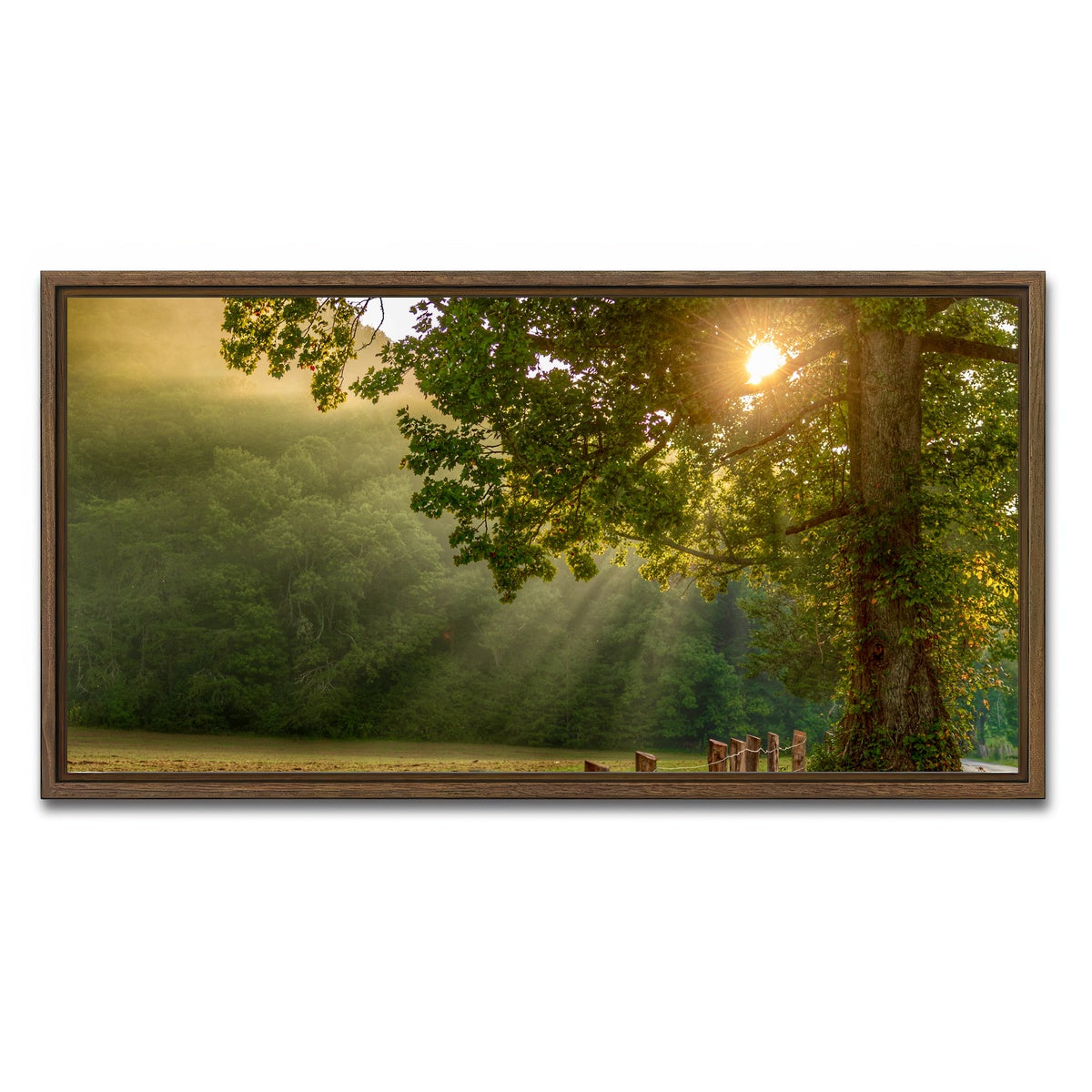 AUTO-MOCKUP WHITE | Cades Cove | 1 Piece | Walnut Framed Canvas | group=2x1