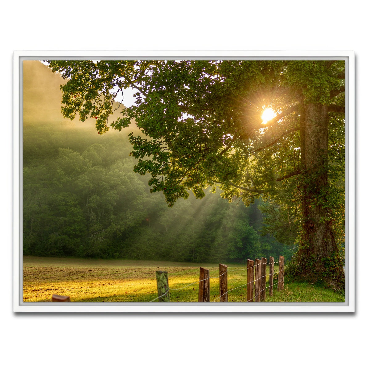 AUTO-MOCKUP WHITE | Cades Cove | 1 Piece | White Framed Canvas | group=4x3