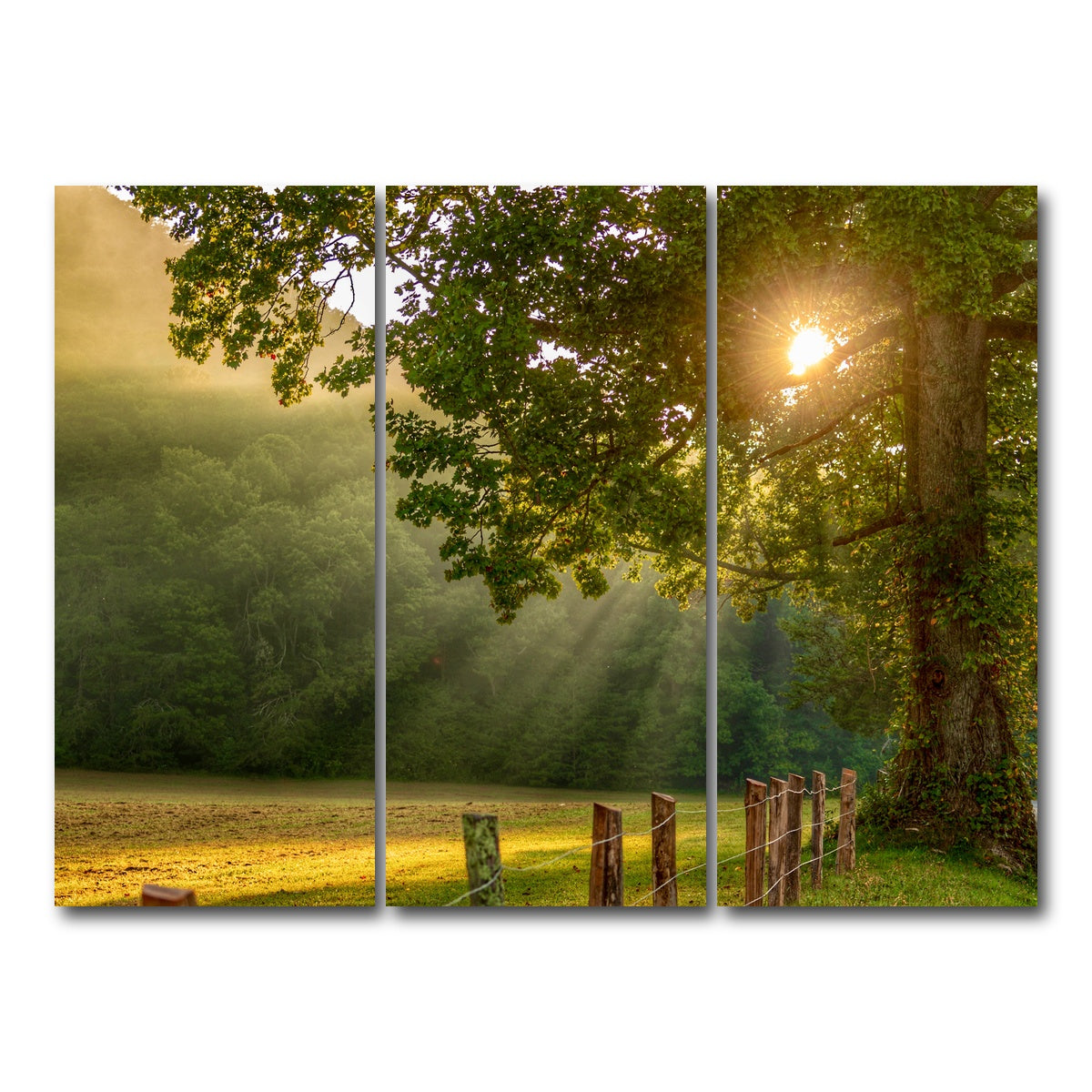 AUTO-MOCKUP WHITE | Cades Cove | 3 Piece | Gallery Wrap Canvas | group=8x18
