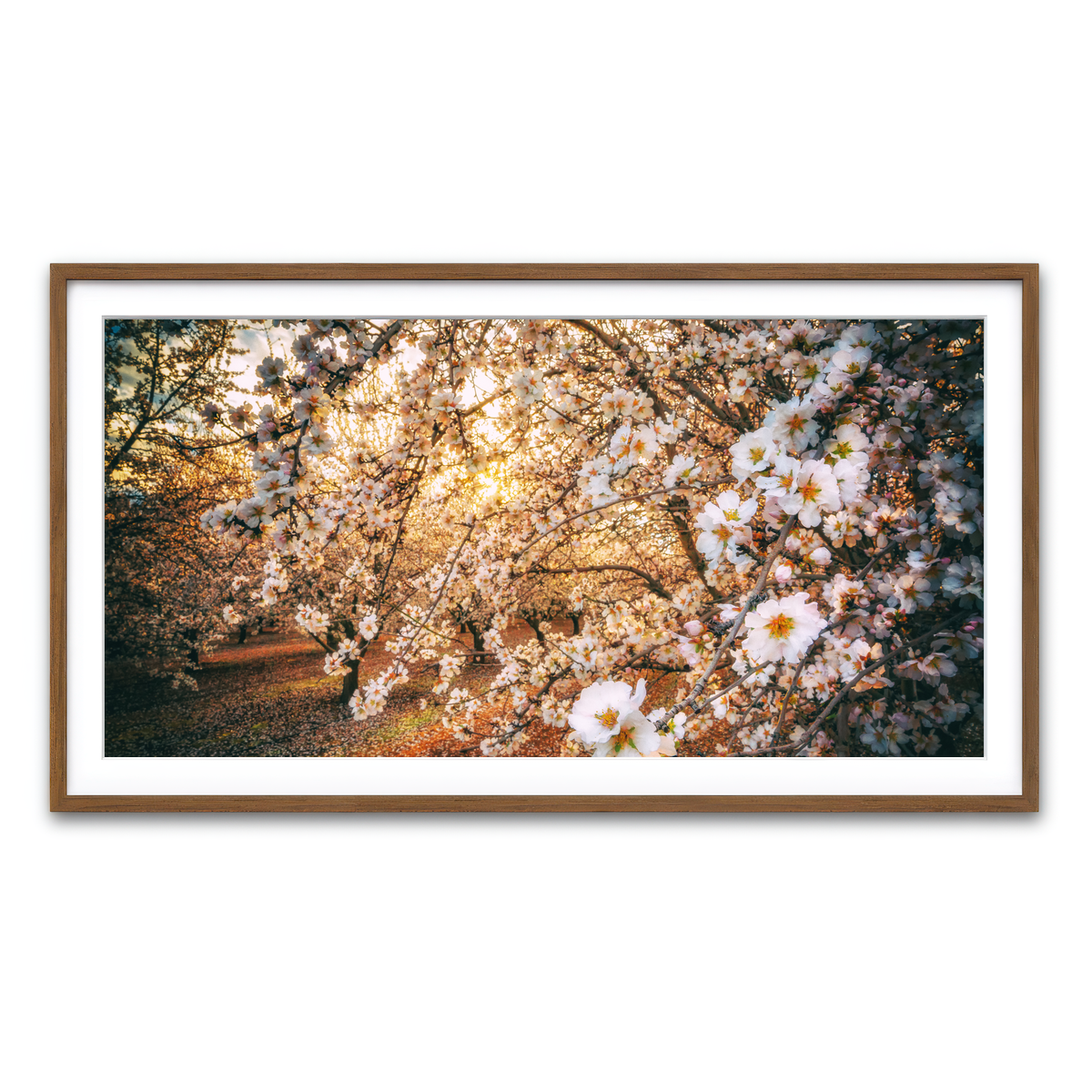 Framed Print 2x1 Walnut
