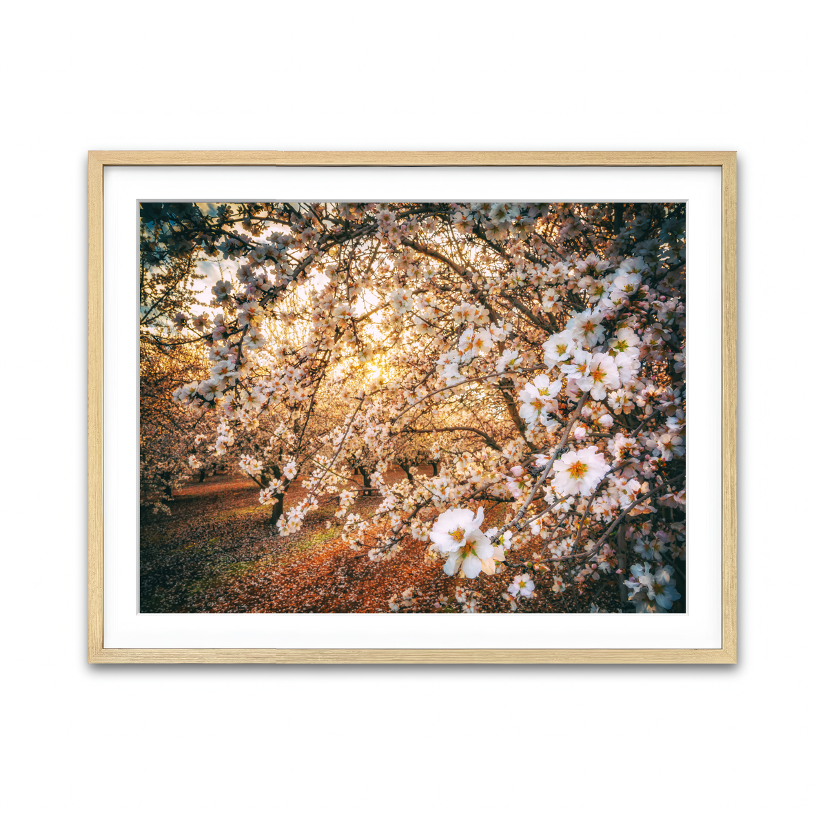 Framed Print 4x3 Natural