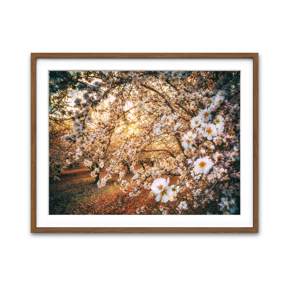Framed Print 4x3 Walnut