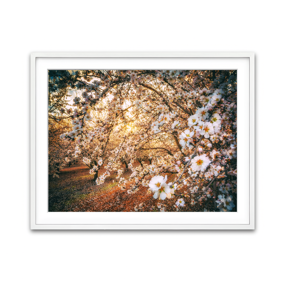 Framed Print 4x3 White