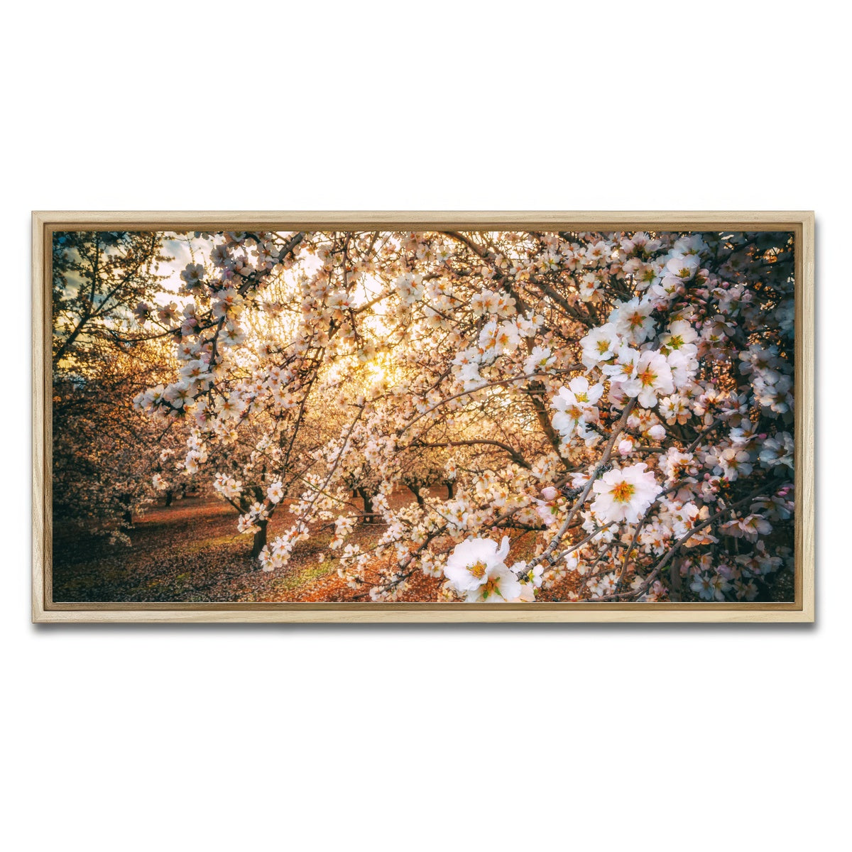 AUTO-MOCKUP WHITE | California Blossom Trail | 1 Piece | Natural Framed Canvas | group=2x1