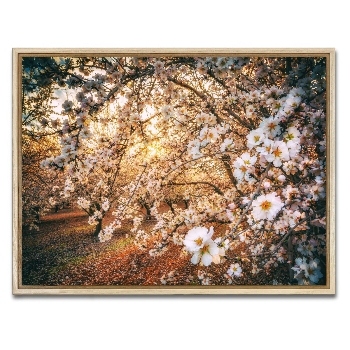 AUTO-MOCKUP WHITE | California Blossom Trail | 1 Piece | Natural Framed Canvas | group=4x3