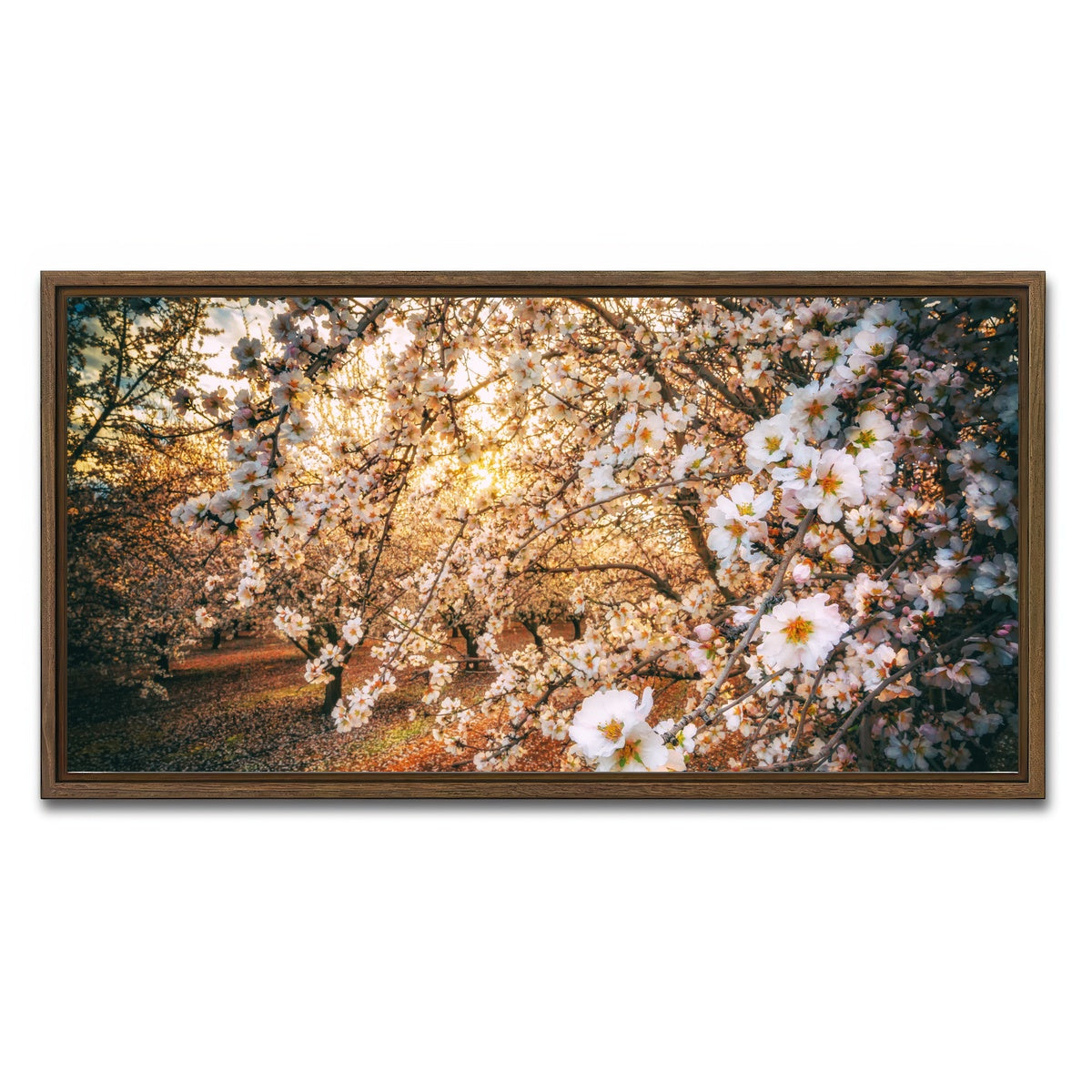AUTO-MOCKUP WHITE | California Blossom Trail | 1 Piece | Walnut Framed Canvas | group=2x1