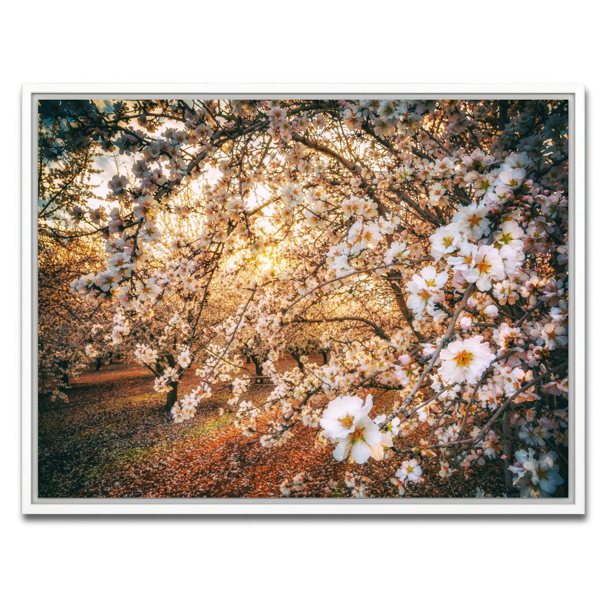 AUTO-MOCKUP WHITE | California Blossom Trail | 1 Piece | White Framed Canvas | group=4x3