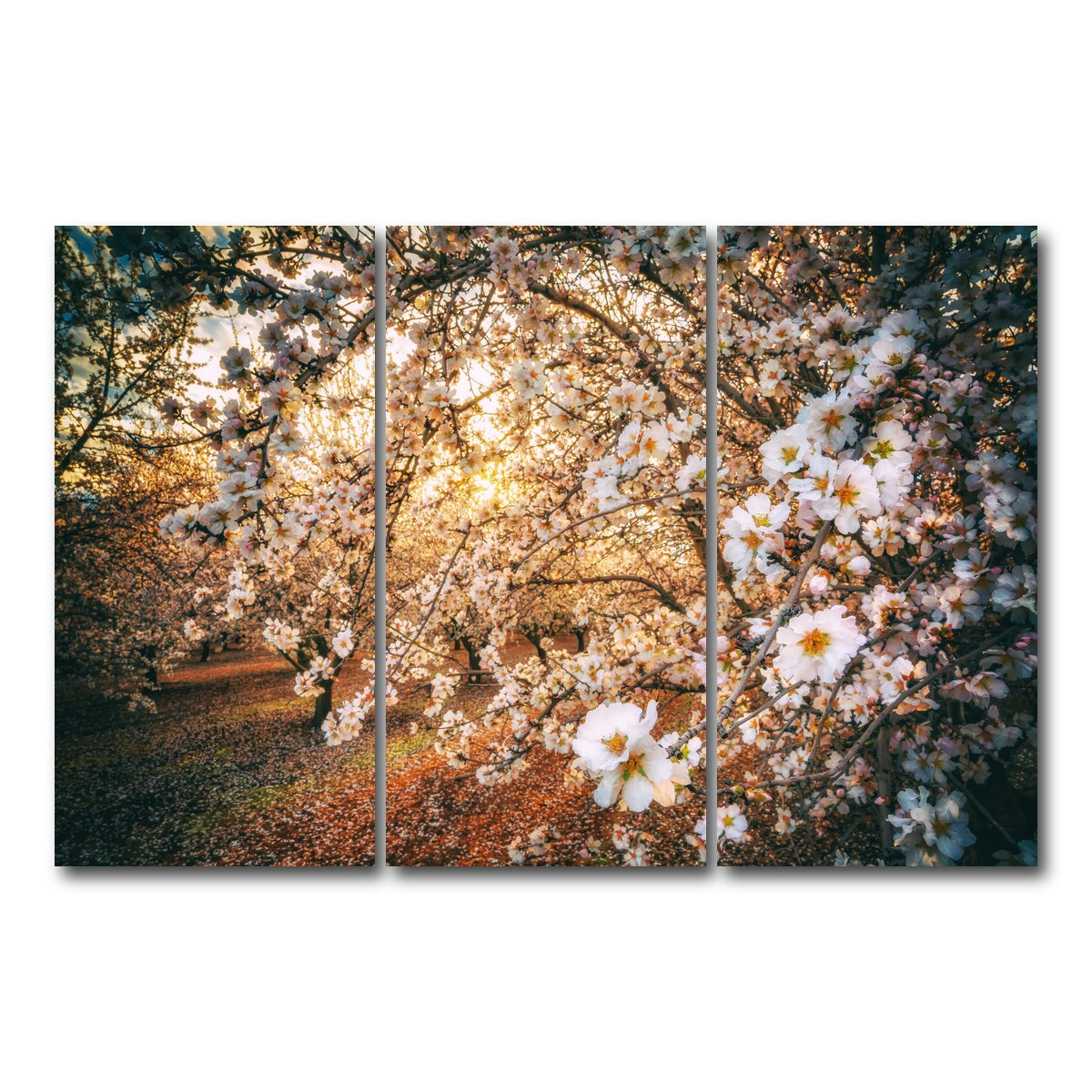 AUTO-MOCKUP WHITE | California Blossom Trail | 3 Piece | Gallery Wrap Canvas | group=12x24