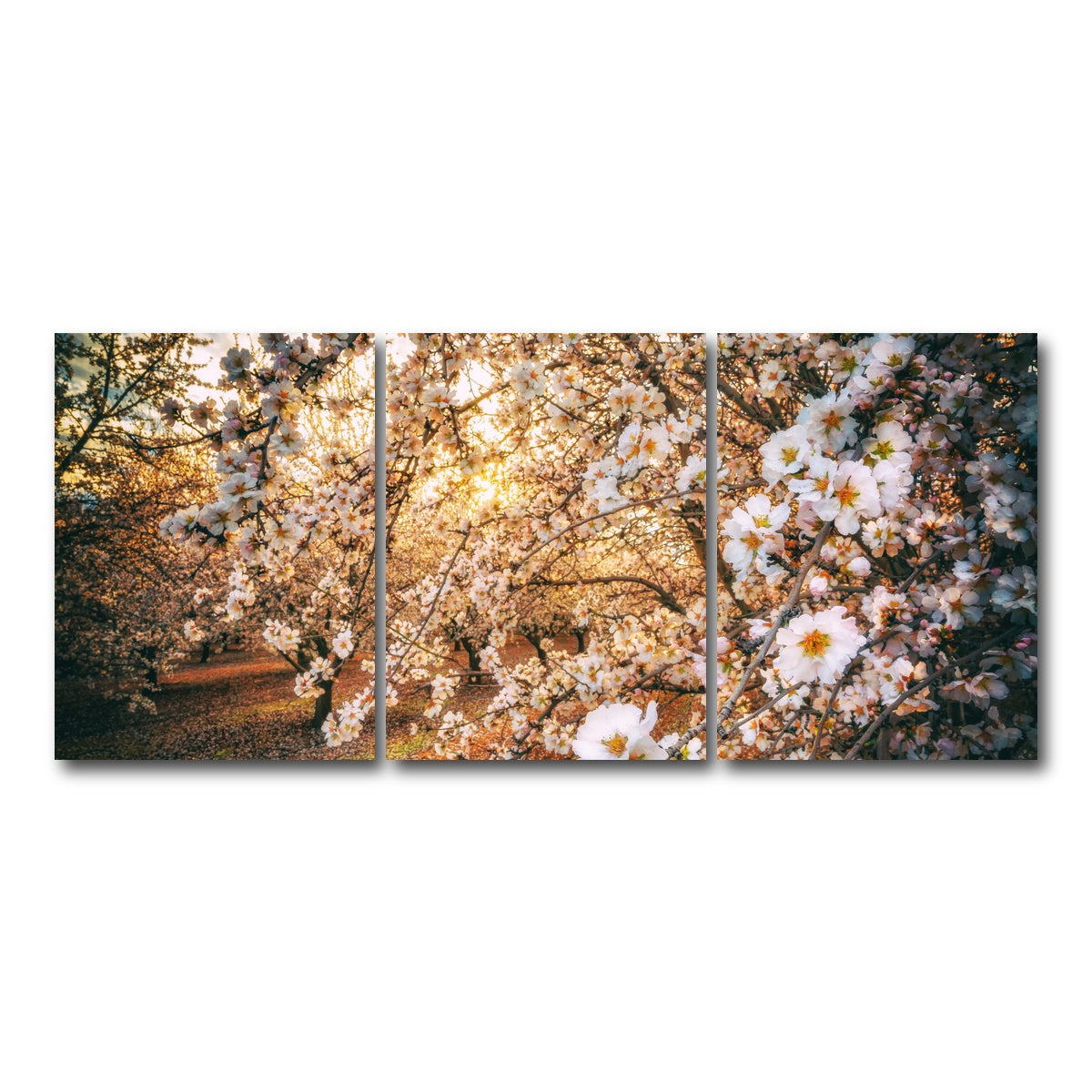 AUTO-MOCKUP WHITE | California Blossom Trail | 3 Piece | Gallery Wrap Canvas | group=18x24
