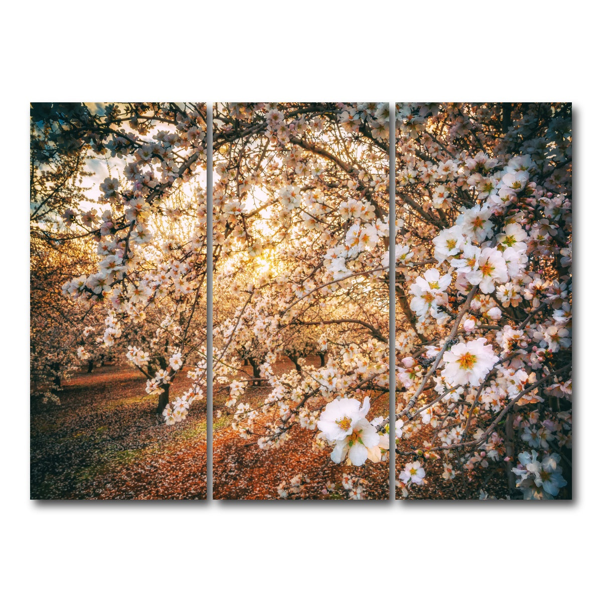 AUTO-MOCKUP WHITE | California Blossom Trail | 3 Piece | Gallery Wrap Canvas | group=8x18