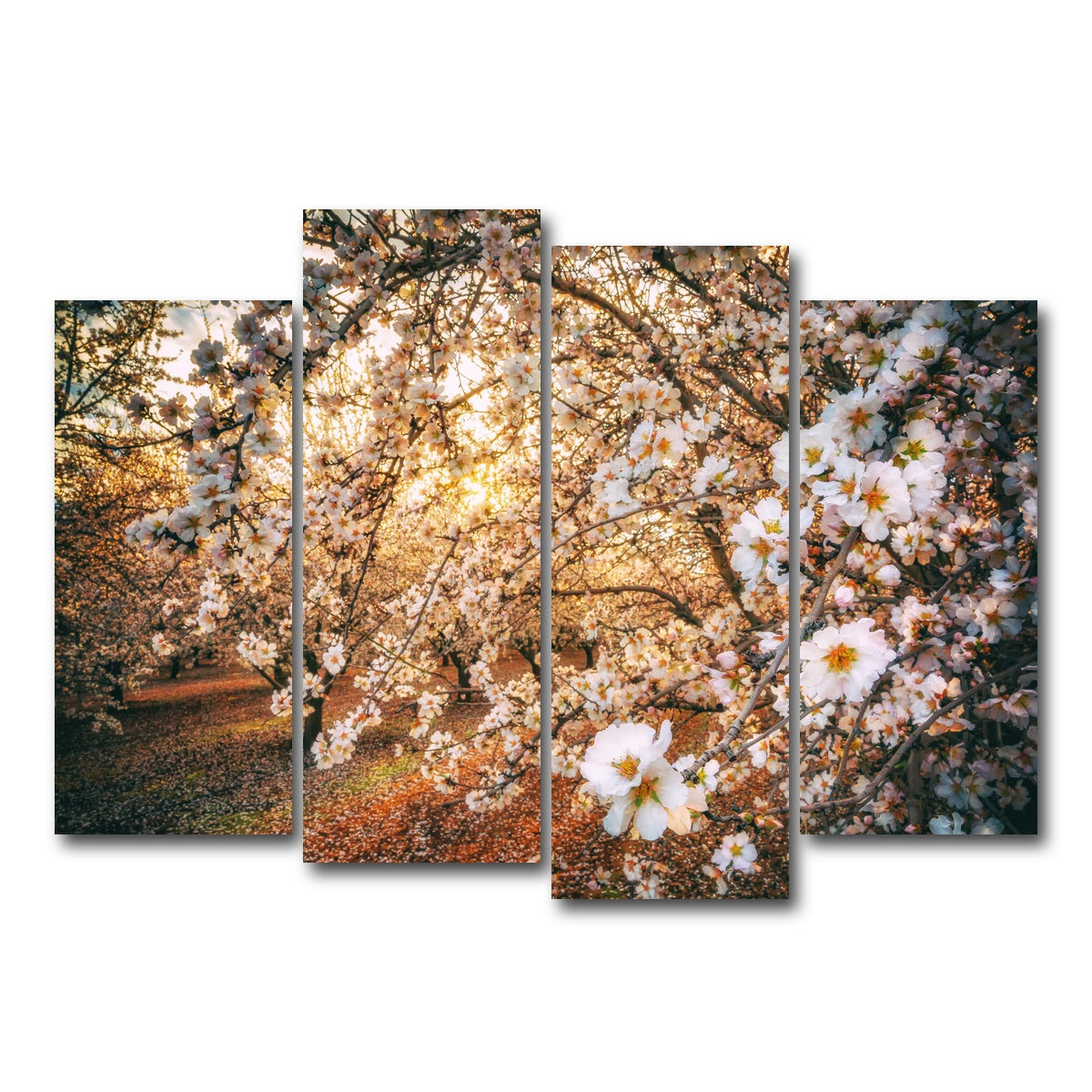 AUTO-MOCKUP WHITE | California Blossom Trail | 4 Piece | Gallery Wrap Canvas | group=4_normal