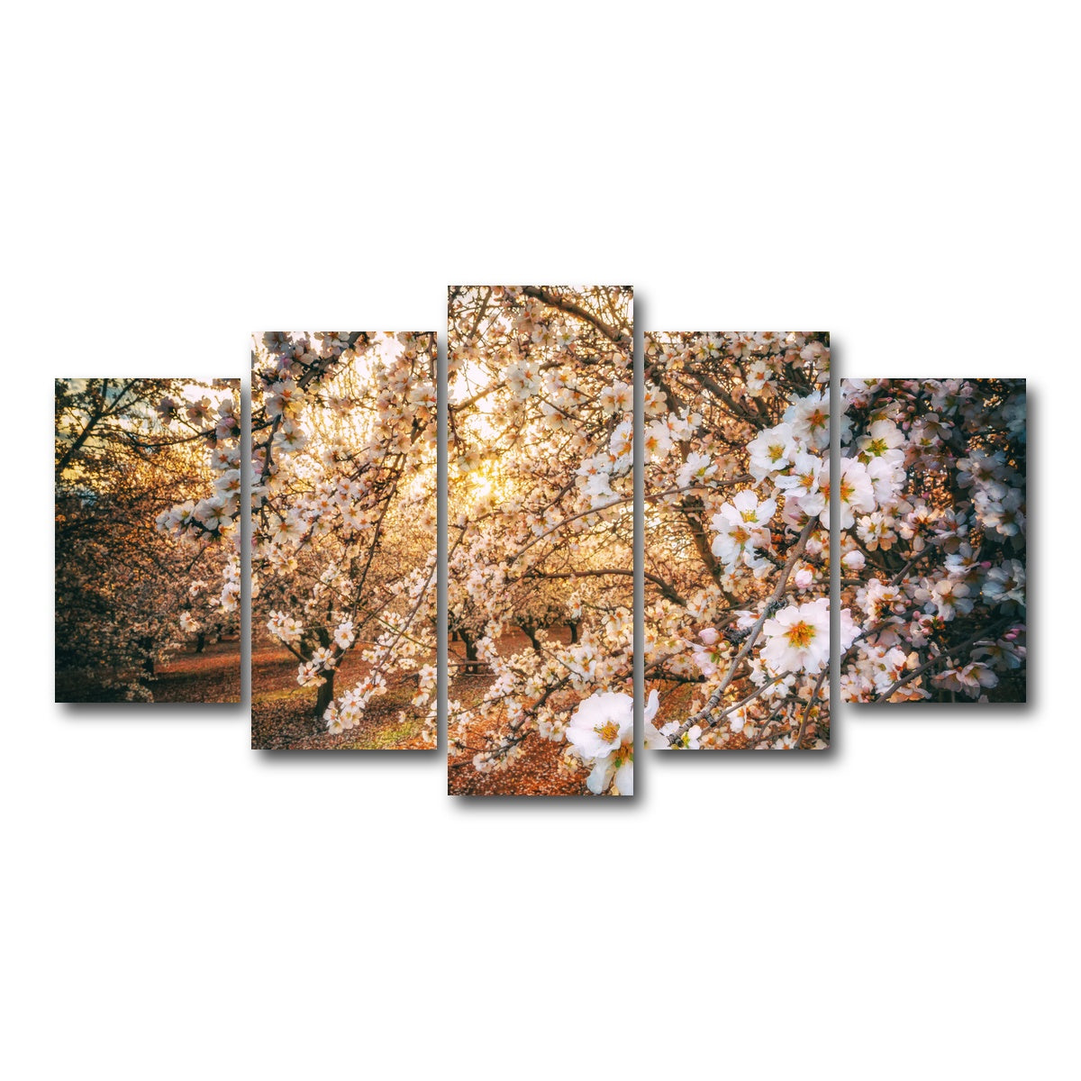 AUTO-MOCKUP WHITE | California Blossom Trail | 5 Piece | Gallery Wrap Canvas | group=5_normal