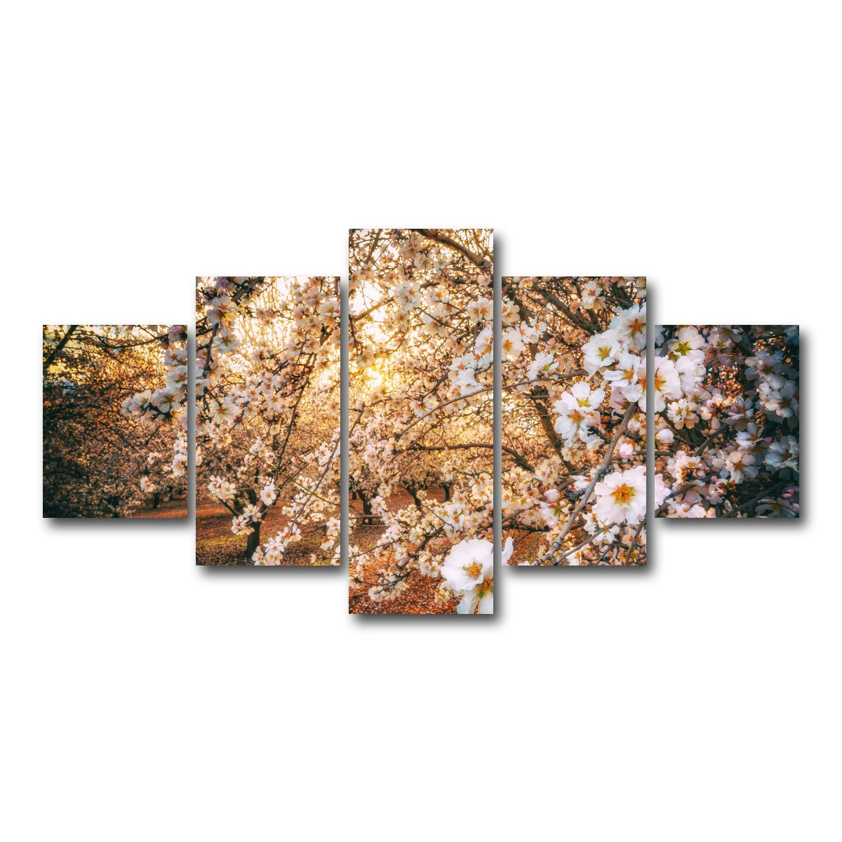 AUTO-MOCKUP WHITE | California Blossom Trail | 5 Piece | Gallery Wrap Canvas | group=5_short