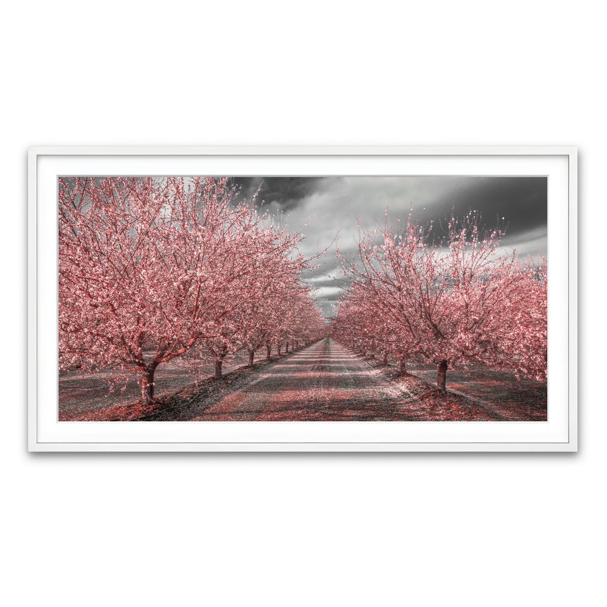 Framed Print 2x1 White