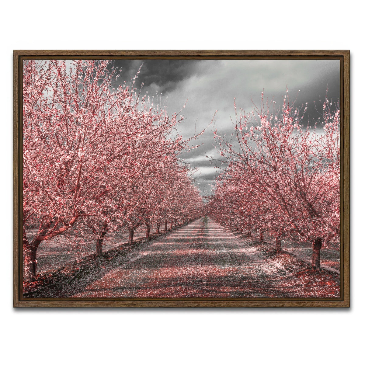 AUTO-MOCKUP WHITE | California Pink Blossoms | 1 Piece | Walnut Framed Canvas | group=4x3