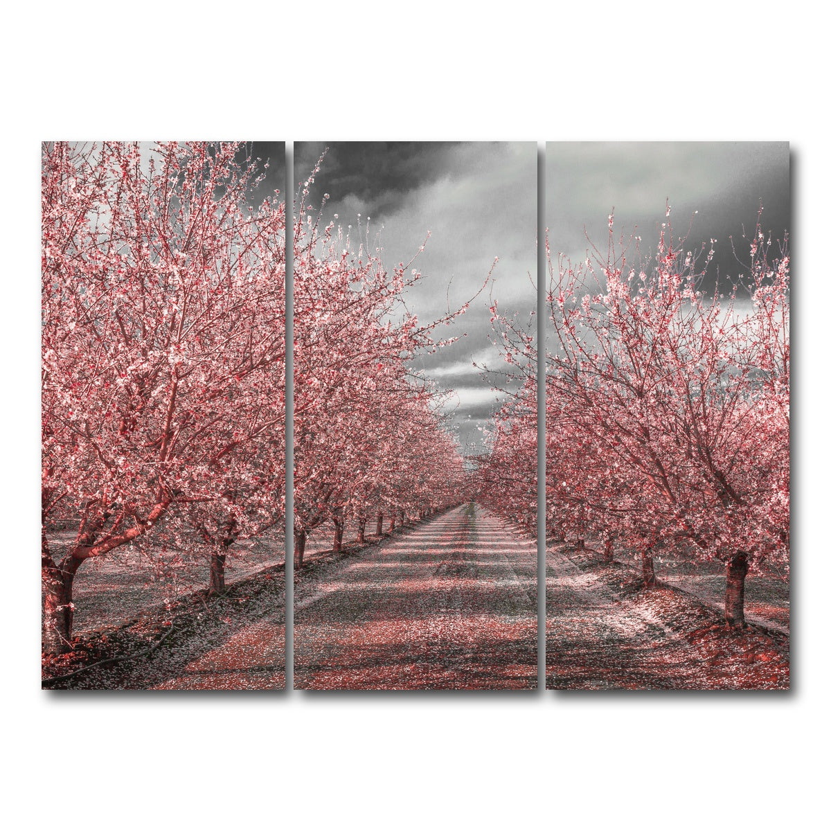 AUTO-MOCKUP WHITE | California Pink Blossoms | 3 Piece | Gallery Wrap Canvas | group=8x18