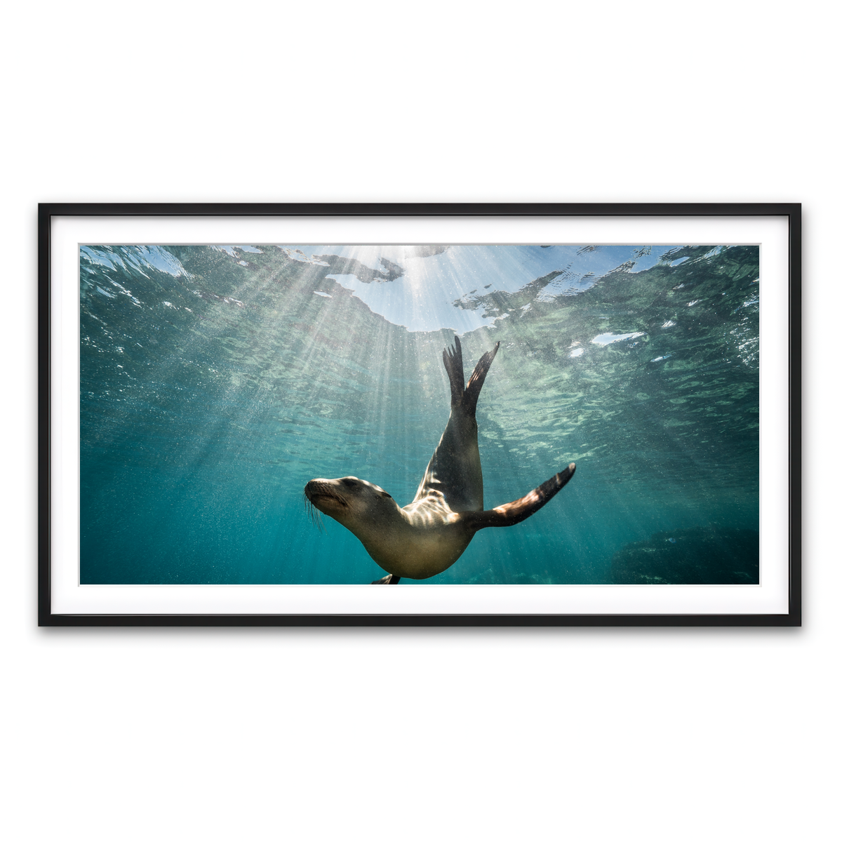 Framed Print 2x1 Black