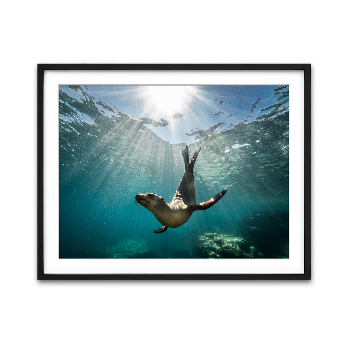 Framed Print 4x3 Black
