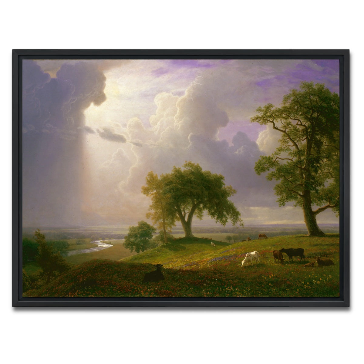 AUTO-MOCKUP WHITE | California Spring | 1 Piece | Black Framed Canvas | group=4x3