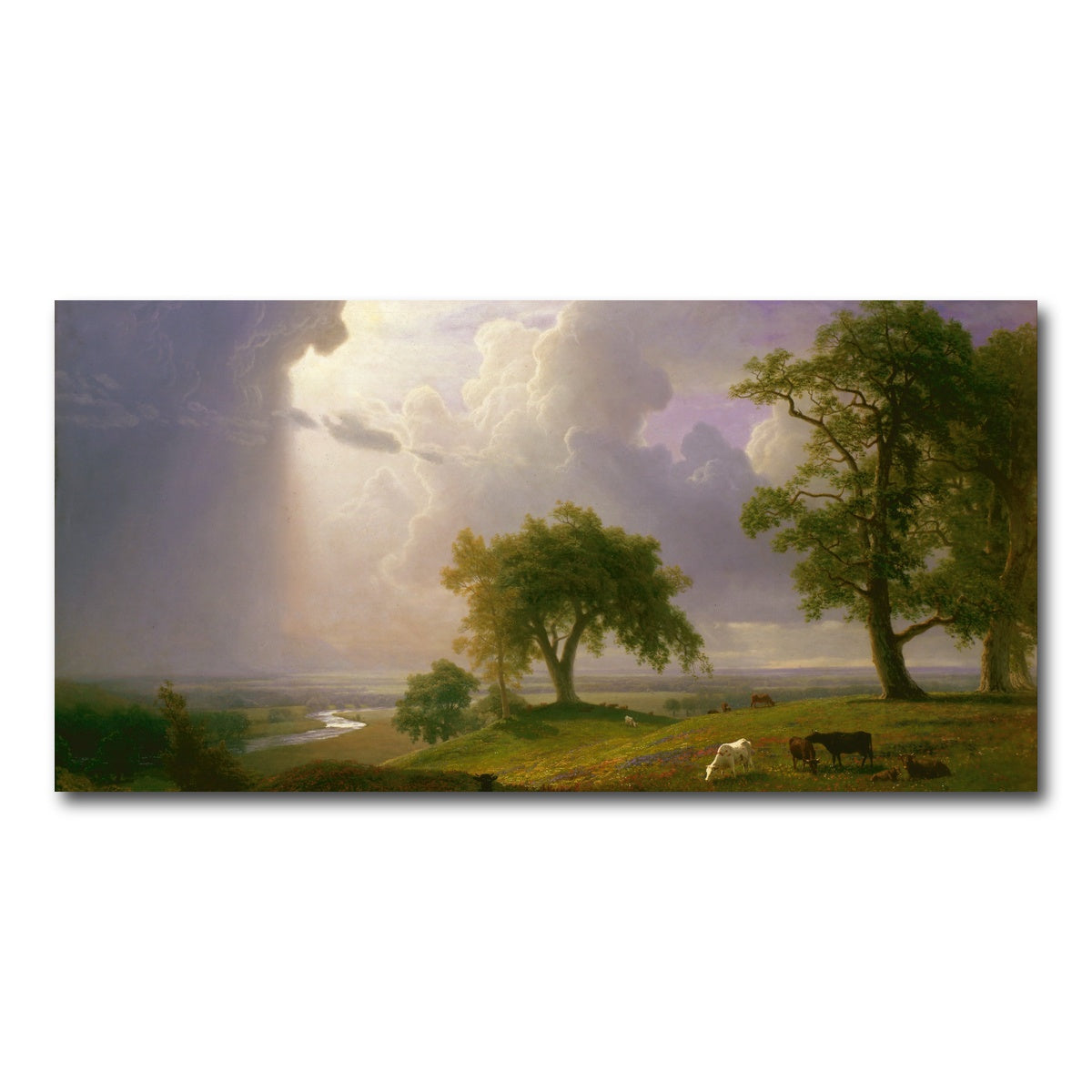 AUTO-MOCKUP WHITE | California Spring | 1 Piece | Gallery Wrap Canvas | group=2x1