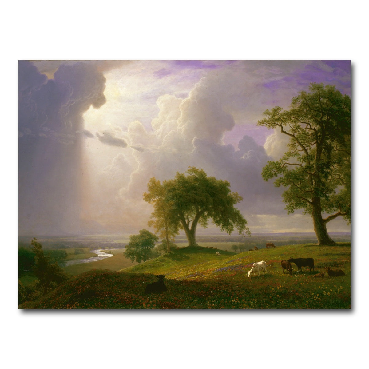 AUTO-MOCKUP WHITE | California Spring | 1 Piece | Gallery Wrap Canvas | group=4x3