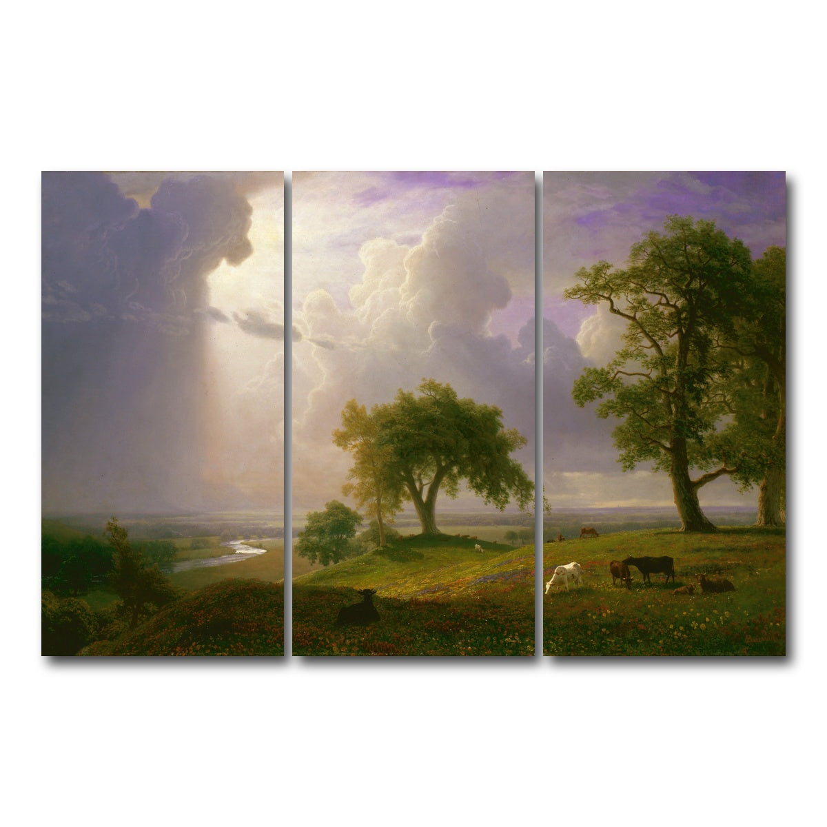 AUTO-MOCKUP WHITE | California Spring | 3 Piece | Gallery Wrap Canvas | group=12x24
