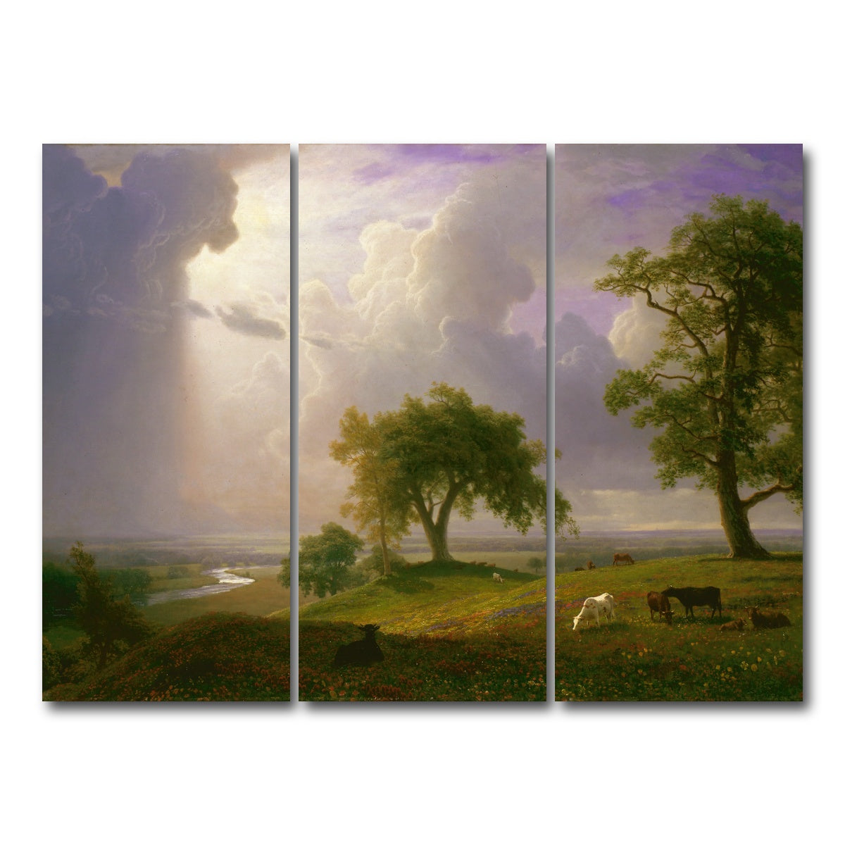 AUTO-MOCKUP WHITE | California Spring | 3 Piece | Gallery Wrap Canvas | group=8x18