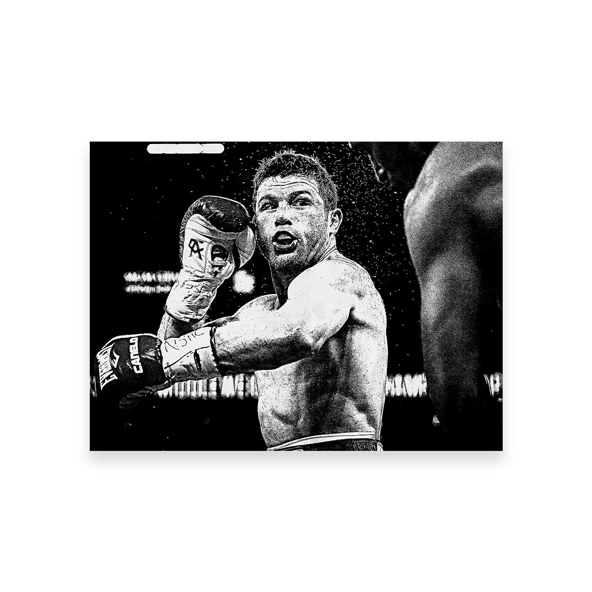 Canelo Alvarez Grayscale Wall Art