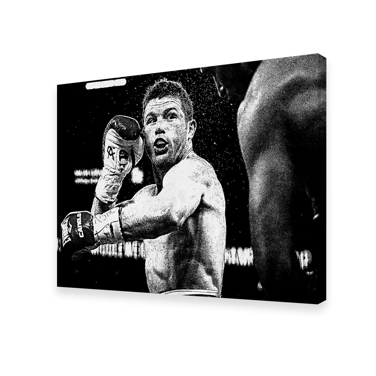 Canelo Alvarez Grayscale Wall Art