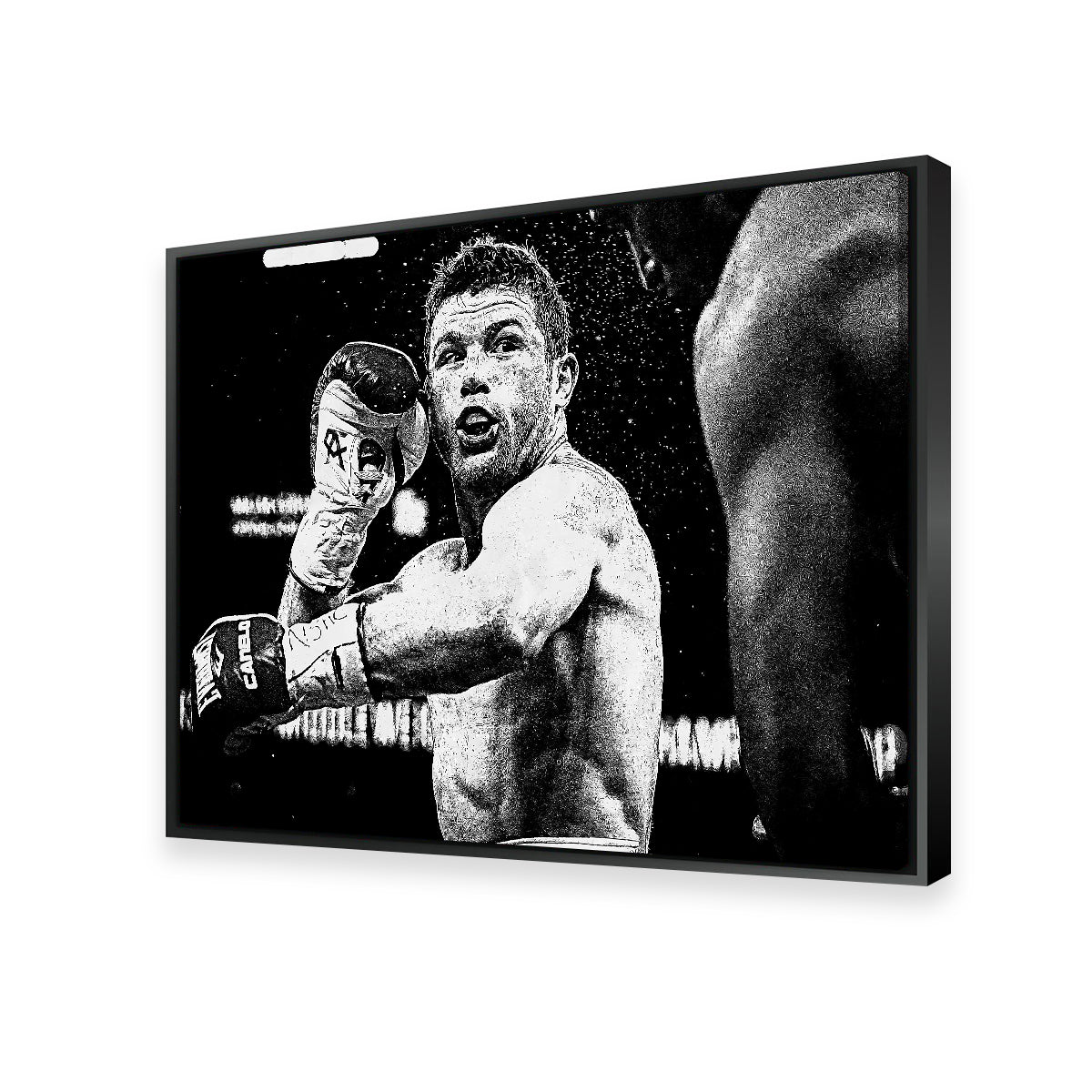 Canelo Alvarez Grayscale Wall Art