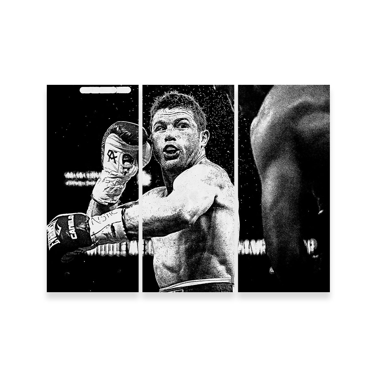 Canelo Alvarez Grayscale Wall Art