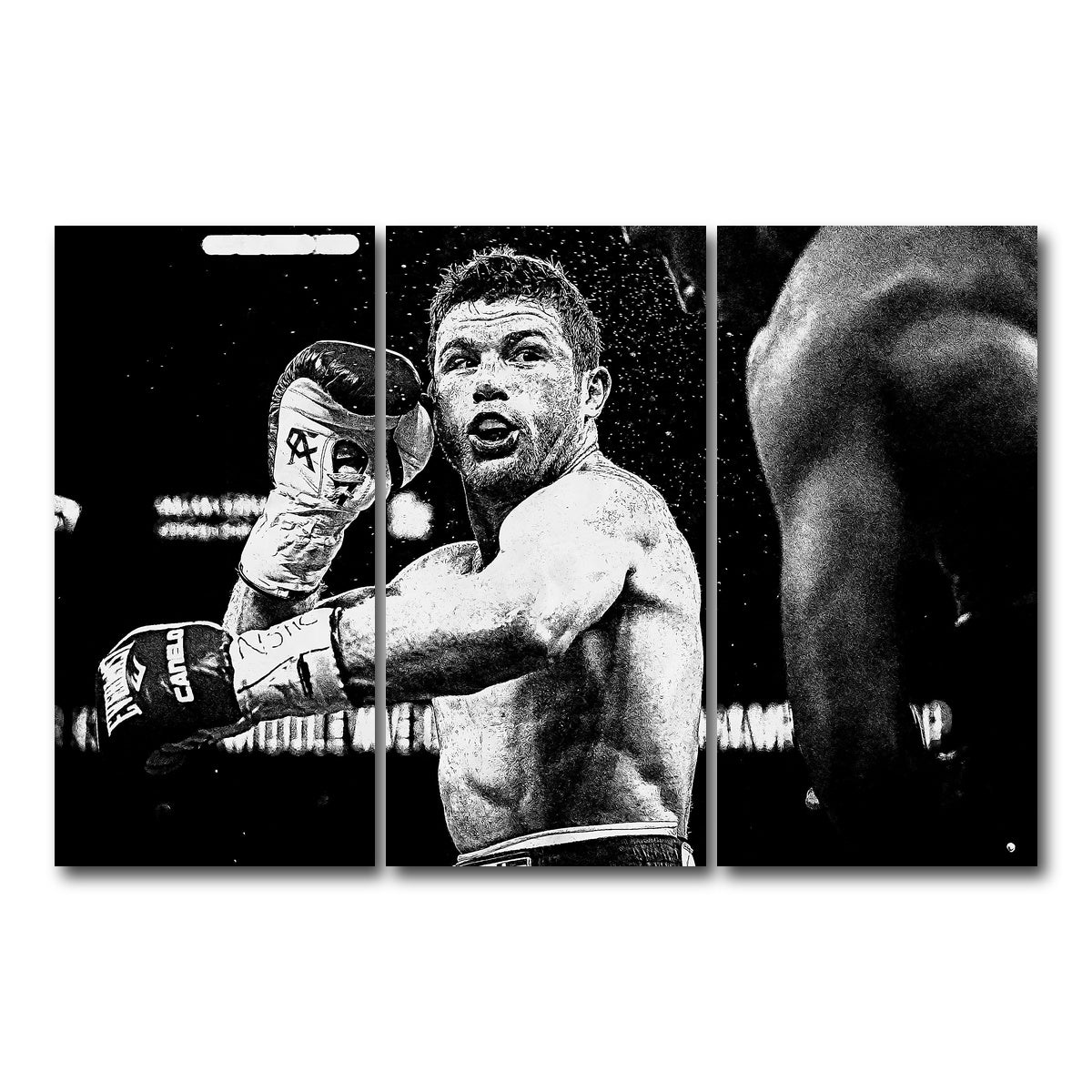 AUTO-MOCKUP WHITE | Canelo Alvarez Grayscale | 3 Piece | Gallery Wrap Canvas | group=12x24