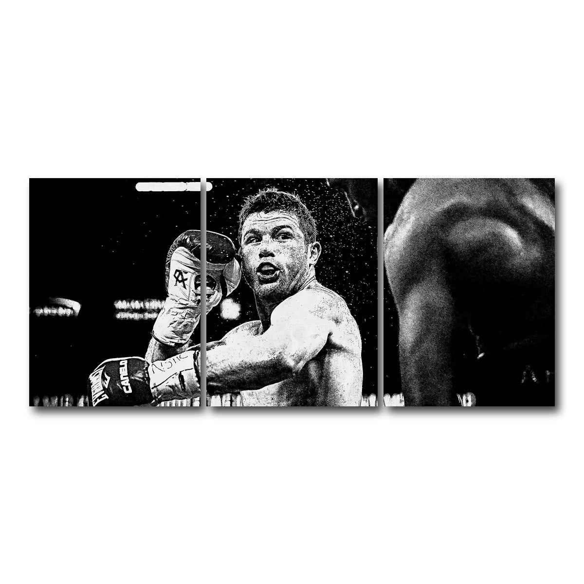 AUTO-MOCKUP WHITE | Canelo Alvarez Grayscale | 3 Piece | Gallery Wrap Canvas | group=18x24