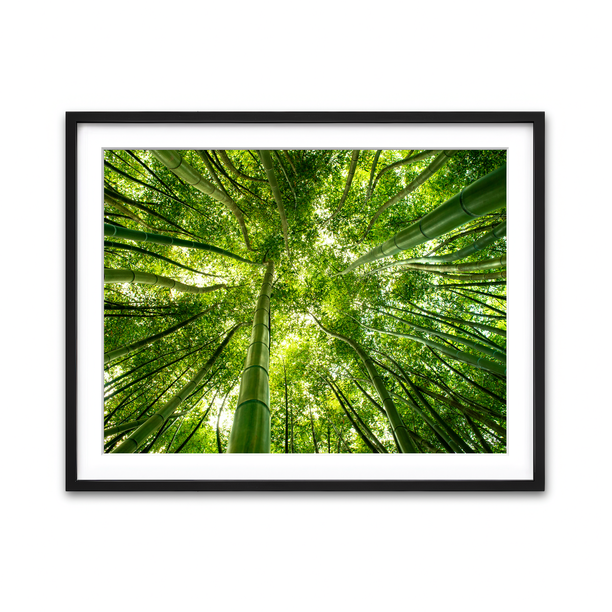 Framed Print 4x3 Black