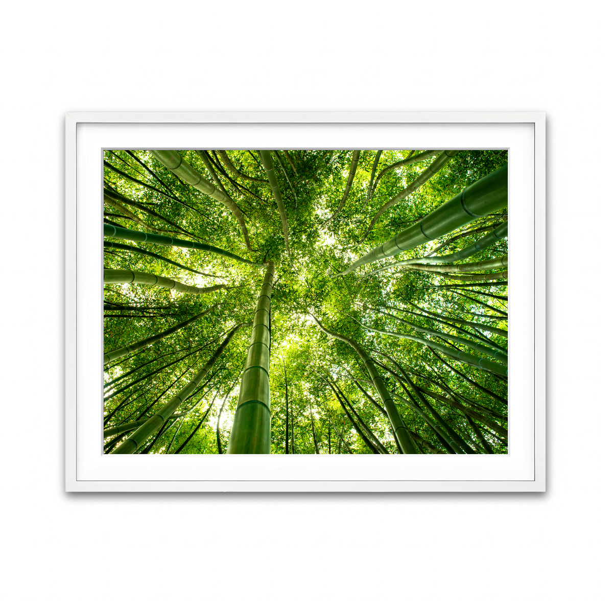 Framed Print 4x3 White
