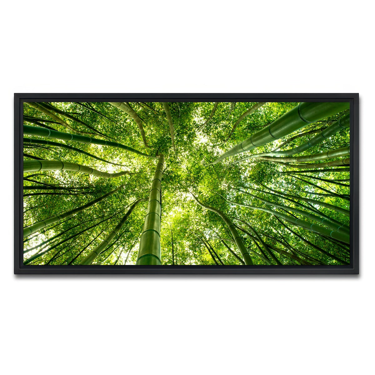 AUTO-MOCKUP WHITE | Canopy in Pisa Italy | 1 Piece | Black Framed Canvas | group=2x1