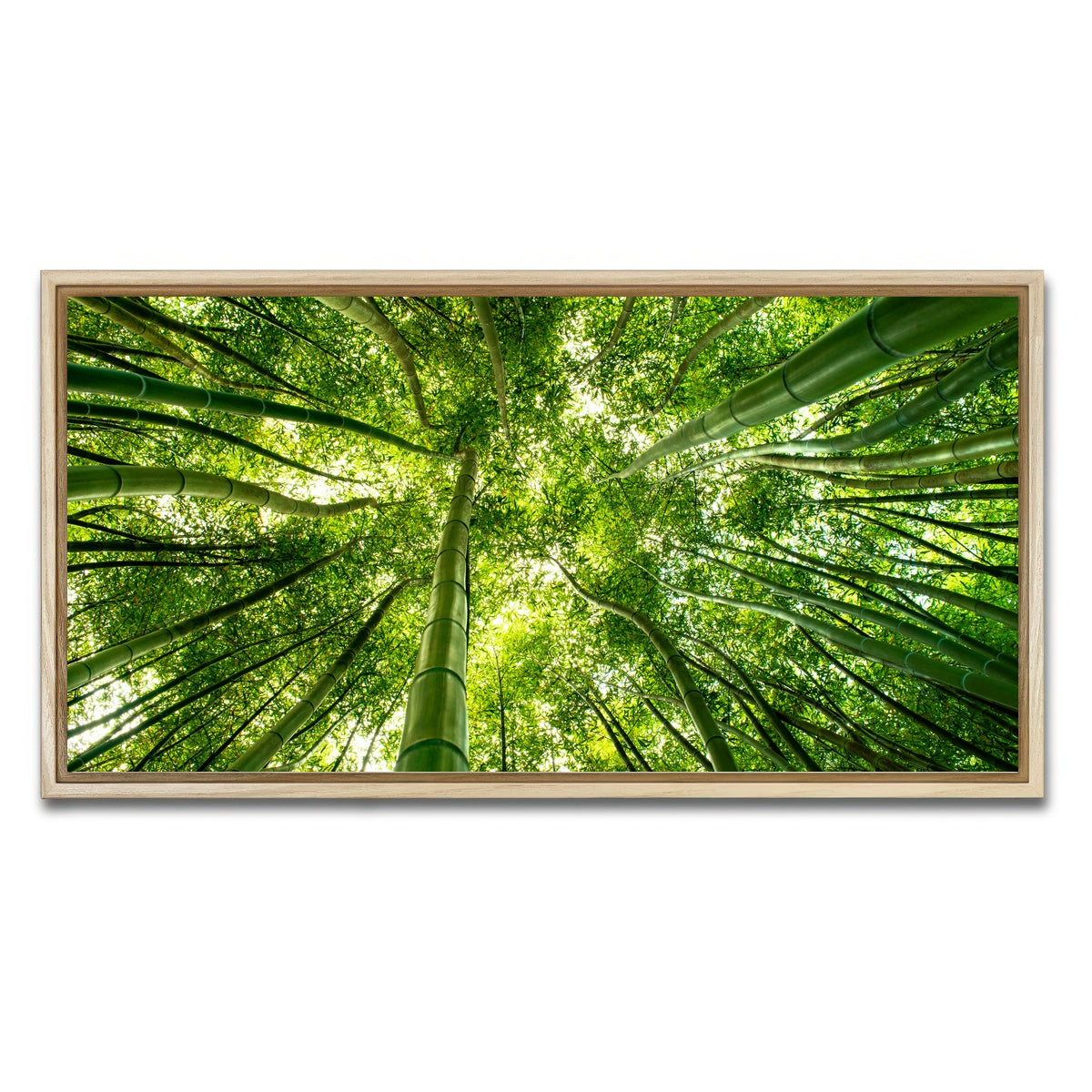 AUTO-MOCKUP WHITE | Canopy in Pisa Italy | 1 Piece | Natural Framed Canvas | group=2x1