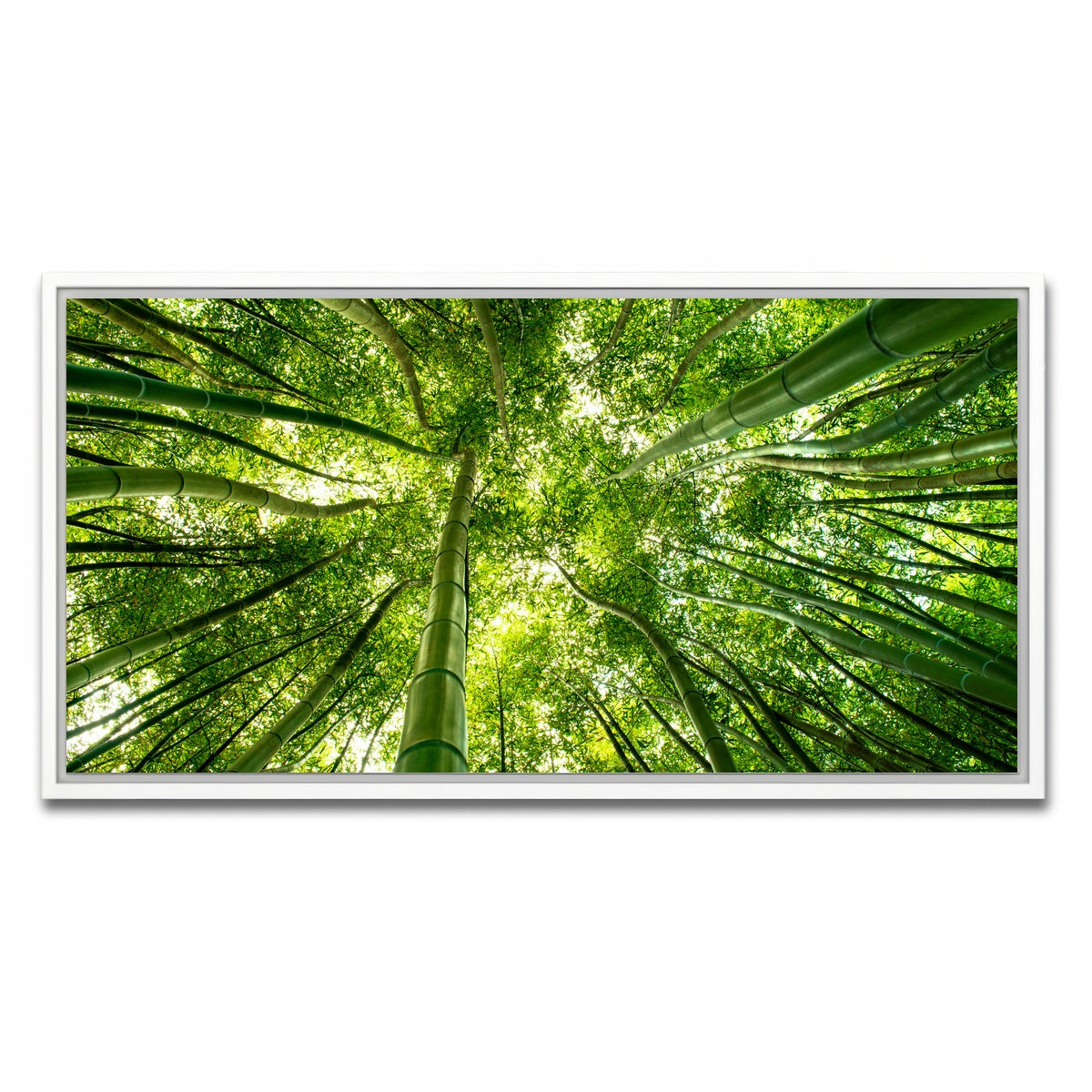 AUTO-MOCKUP WHITE | Canopy in Pisa Italy | 1 Piece | White Framed Canvas | group=2x1