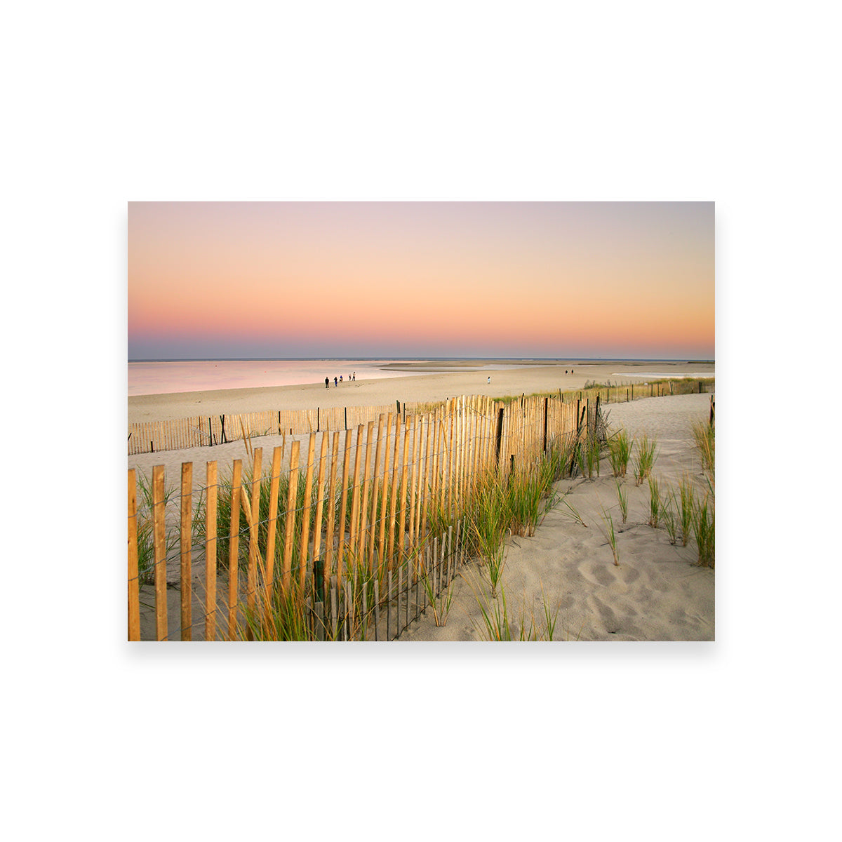Cape Cod Wall Art