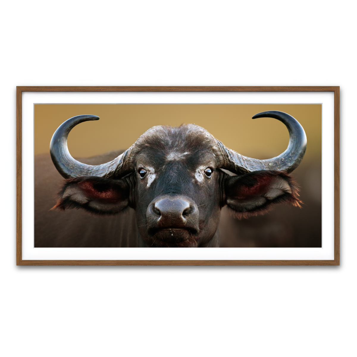 Framed Print 2x1 Walnut