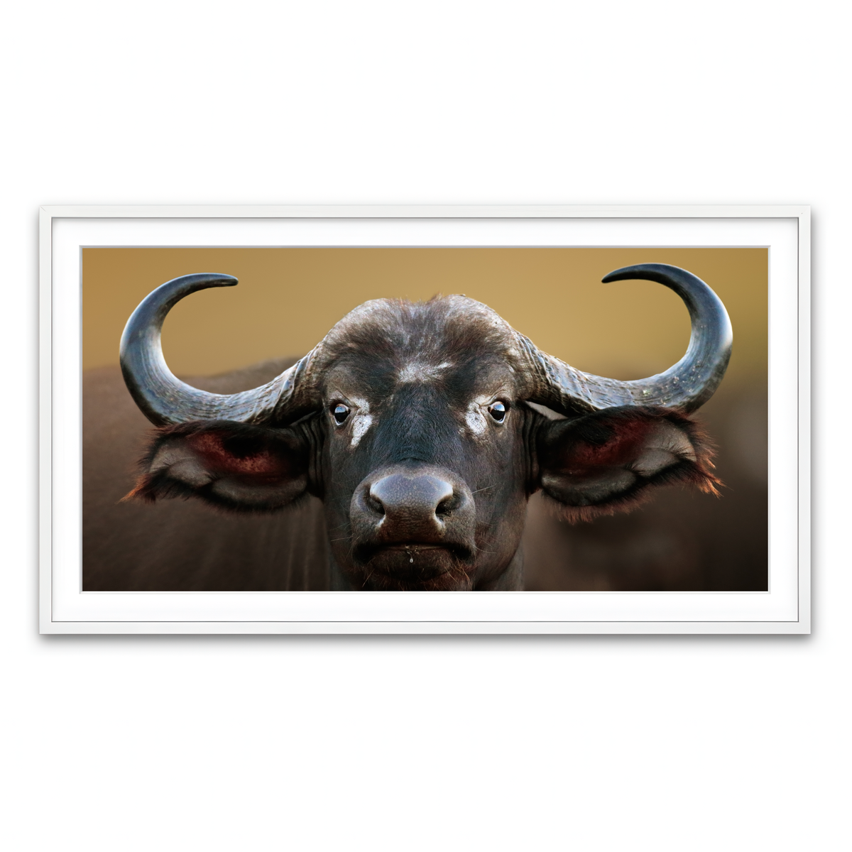 Framed Print 2x1 White