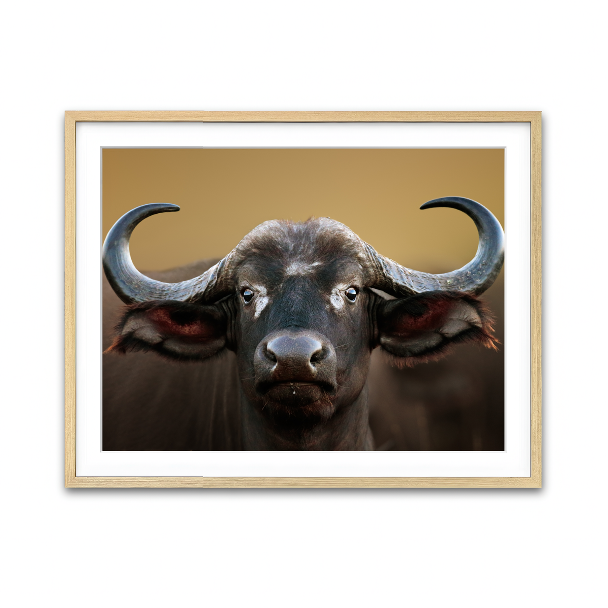 Framed Print 4x3 Natural