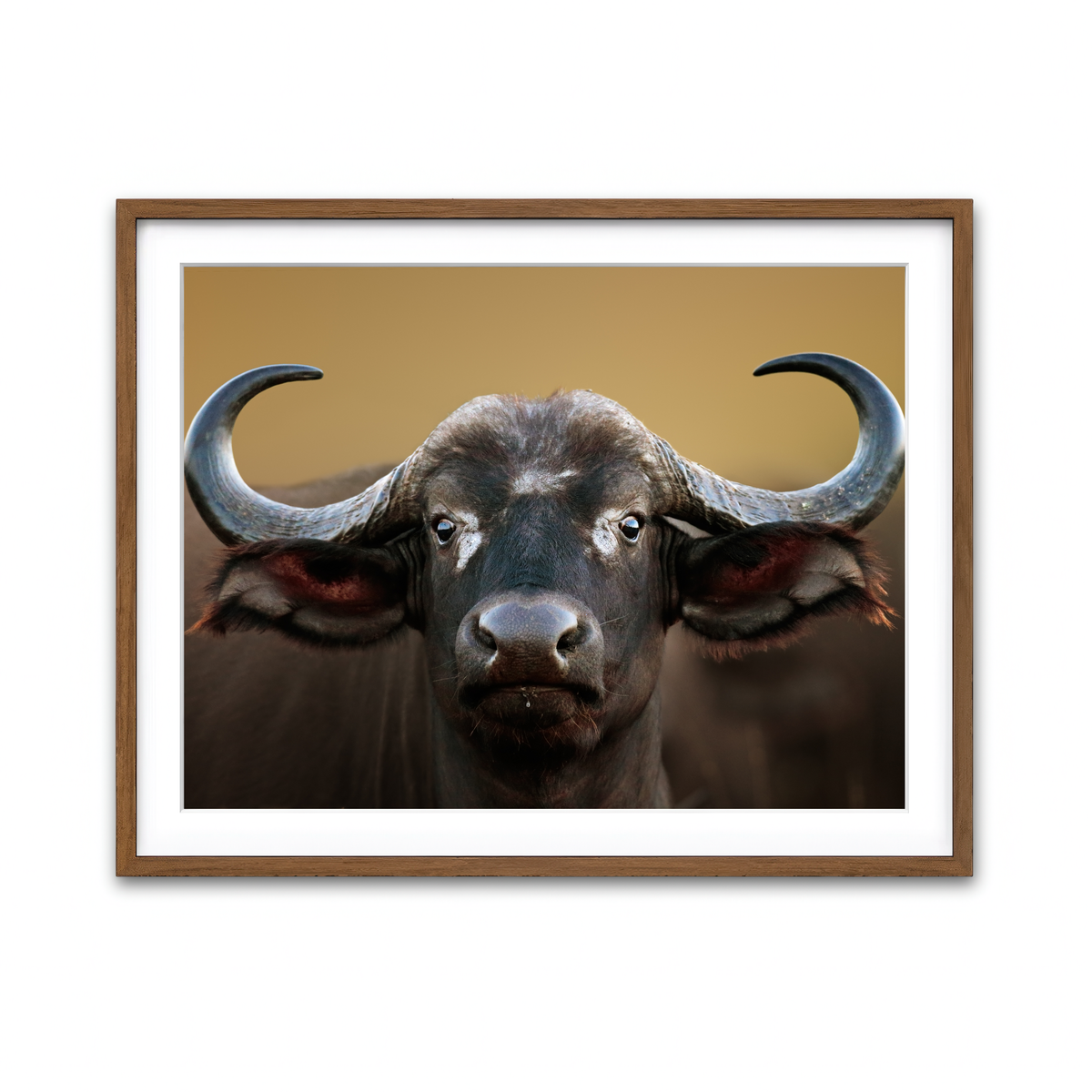 Framed Print 4x3 Walnut