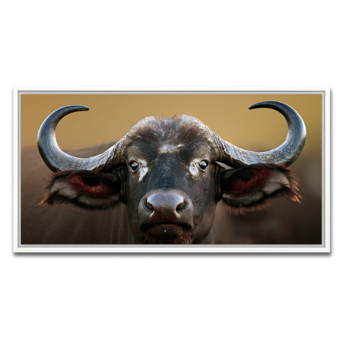 AUTO-MOCKUP WHITE | Cape Buffalo - Kruger National Park | 1 Piece | White Framed Canvas | group=2x1